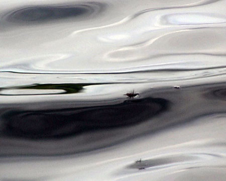Dry Fly On Water, Arnfield Fly Fishery