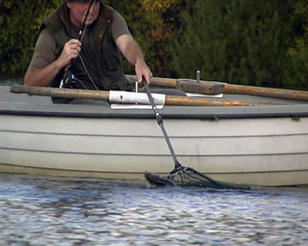 Landing Trout, Arnfield Fly Fishery