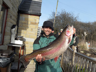 Bird sanctuary tree line, Arnfield Fly Fishery