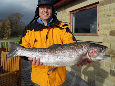 Bird sanctuary tree line, Arnfield Fly Fishery