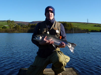Bird sanctuary tree line, Arnfield Fly Fishery