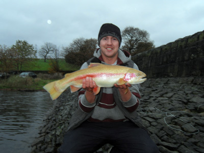 Bird sanctuary tree line, Arnfield Fly Fishery